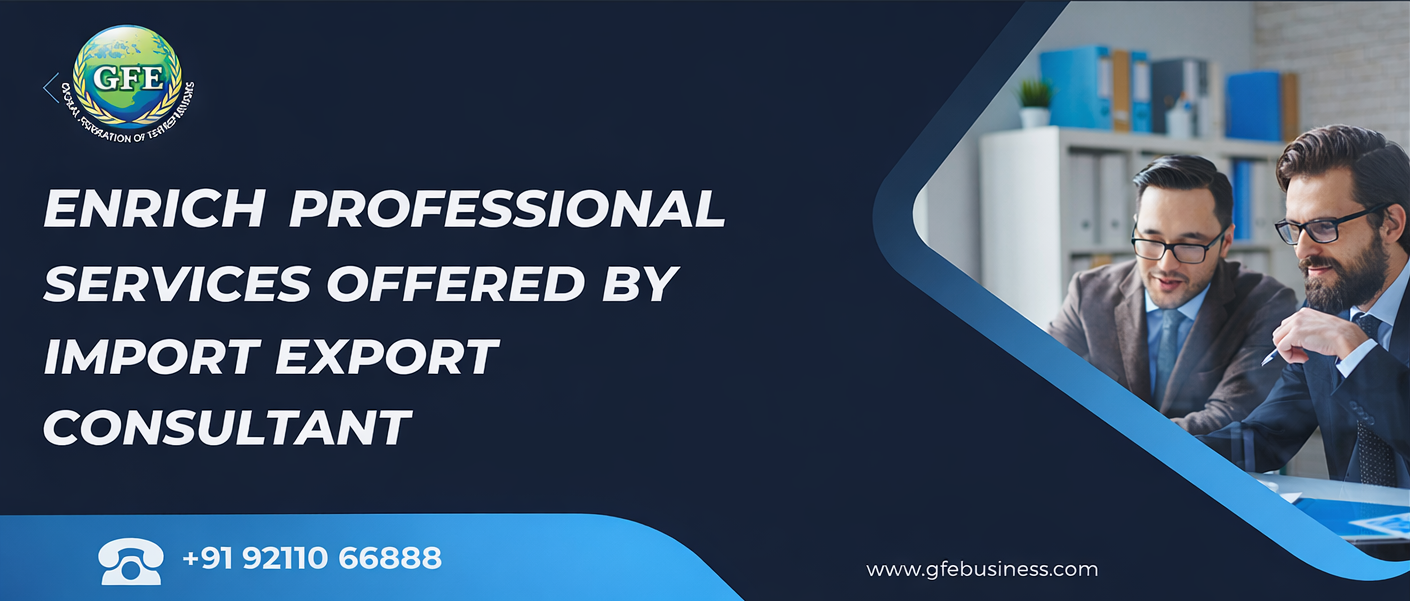 Enrich professional services offered by Import export consultant