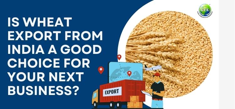 Is Wheat Export From India a Good Choice for Your Next Business?